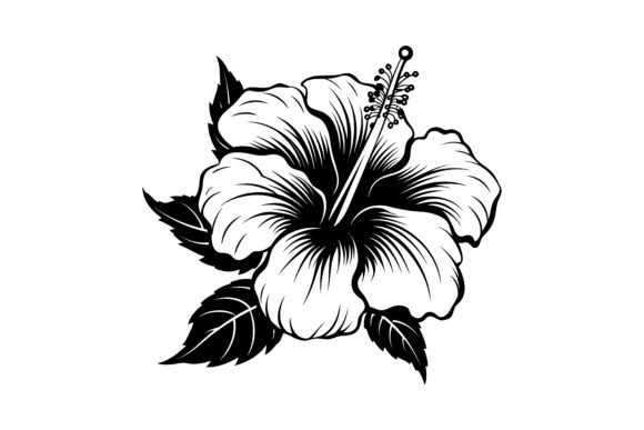 Hibiscus Flower Silhouette Design Guide